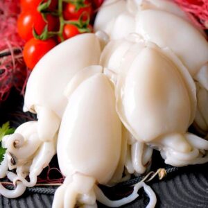 Calamari (White Squid)