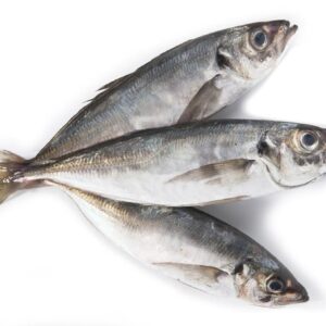 Horse Mackerel (Kote Fish)