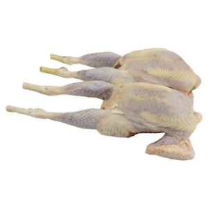 Hard Whole Chicken (Old Layer)